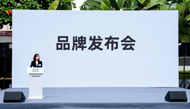 媒介投放的性能边界与适用场景分析